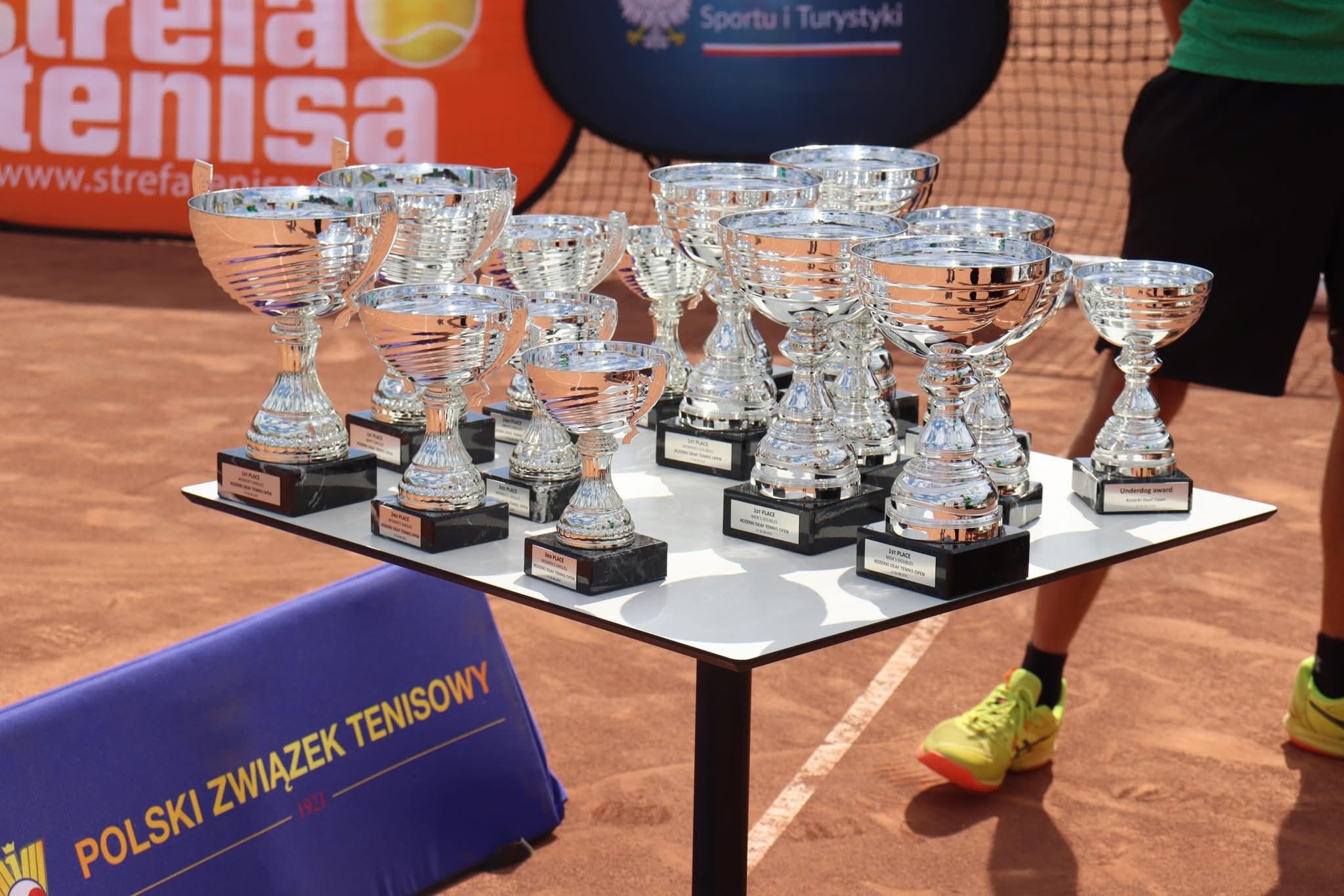 Tenis ziemny